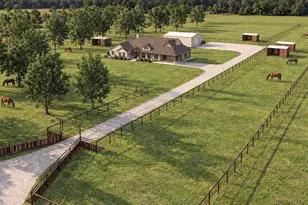1488 Poe Prairie Rd, Millsap, TX 76066 - Photo 1