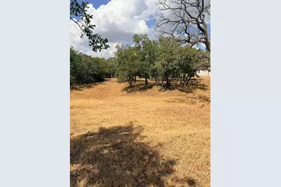 153 Catfish Trail, Bowie, TX 76230 - Photo 9