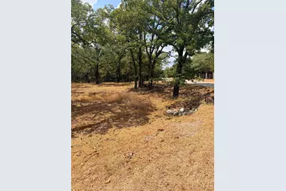 153 Catfish Trail, Bowie, TX 76230 - Photo 5