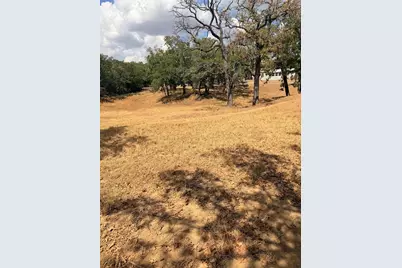 153 Catfish Trail, Bowie, TX 76230 - Photo 7