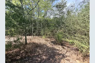 Tbd Cr 3824, Wills Point, TX 75160 - Photo 3