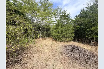 Tbd Cr 3824, Wills Point, TX 75160 - Photo 5