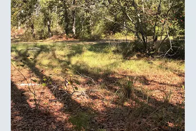 562 An County Road 2223, Tennessee Colony, TX 75861 - Photo 7