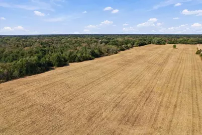 Ybd Farm Road 273, Ivanhoe, TX 75447 - Photo 1