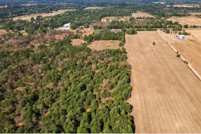 Ybd Farm Road 273, Ivanhoe, TX 75447 - Photo 3