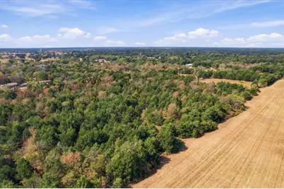 Ybd Farm Road 273, Ivanhoe, TX 75447 - Photo 13