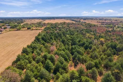 Ybd Farm Road 273, Ivanhoe, TX 75447 - Photo 21