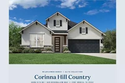629 Rosemallow Way, Fort Worth, TX 76247 - Photo 9