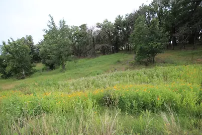174 Hansma Way, Weatherford, TX 76087 - Photo 9
