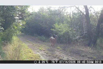 1885 NW Cr 2162, Barry, TX 75102 - Photo 21