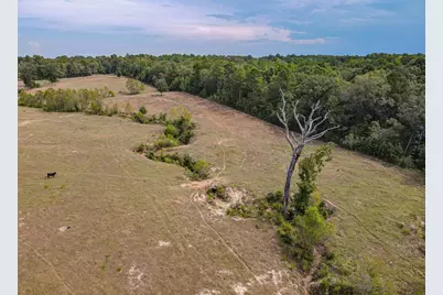 2162 Blackburn Road, Diana, TX 75640 - Photo 27