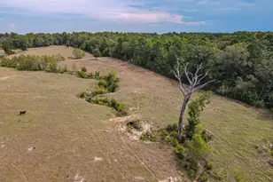 2162 Blackburn Rd, Diana, TX 75640 - Photo 27