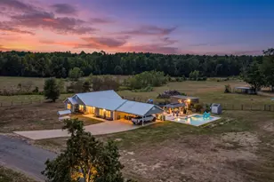 2162 Blackburn Rd, Diana, TX 75640 - Photo 33