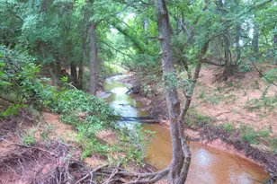 0000 Fm 1125, Bowie, TX 76230 - Photo 1
