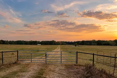 0000 Fm 148 Road, Scurry, TX 75158 - Photo 15