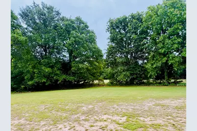 Tbd 1& 2 Fm-197, Arthur City, TX 75411 - Photo 3