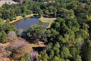 1135 Co Rd 2332, Mineola, TX 75773 - Photo 39