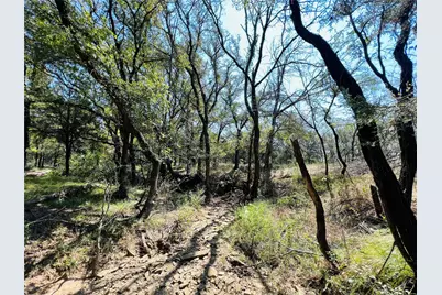 Tbd Shiloh Sharps Landing, Santo, TX 76472 - Photo 5