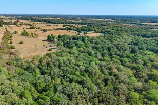 7161 Co Rd 3223, Lone Oak, TX 75453 - Photo 11