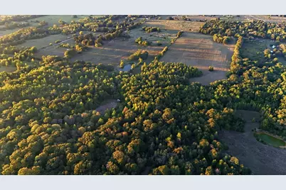 0000 County Road 4930, Quitman, TX 75783 - Photo 13