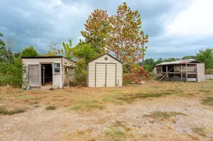 1262 Fm 1647, Winnsboro, TX 75494 - Photo 11