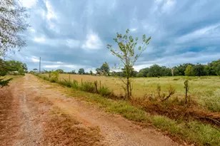 1262 Fm 1647, Winnsboro, TX 75494 - Photo 5
