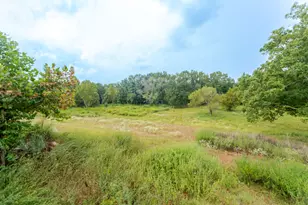 1262 Fm 1647, Winnsboro, TX 75494 - Photo 17