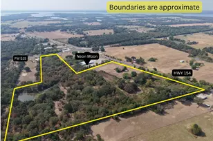 4732 Tx St Hwy 154 Hwy, Yantis, TX 75497 - Photo 1