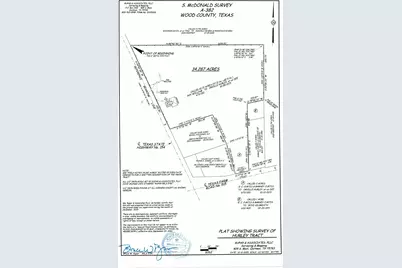 4732 Tx St Hwy 154 Highway, Yantis, TX 75497 - Photo 27