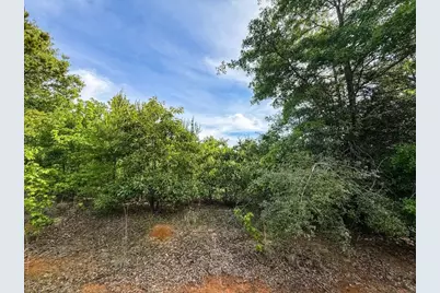 Tbd White Oak Rd, Gladewater, TX 75647 - Photo 3