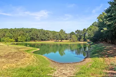 579 Fm 1522, Pittsburg, TX 75686 - Photo 21