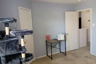 3605 Quail View Dr, McKinney, TX 75071 - Photo 19