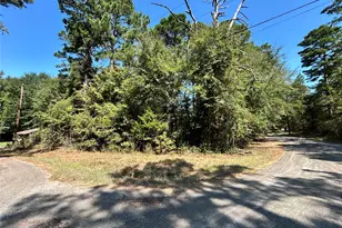 11 Hillside Circle, Berryville, TX 75763 - Photo 1