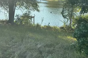 9324 Private Rd 3351, Gilmer, TX 75645 - Photo 3