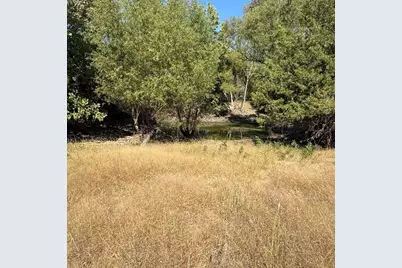 18081 Burden Ranch, Farmersville, TX 75442 - Photo 3