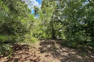 5982 Doe Trail, Gilmer, TX 75645 - Photo 31