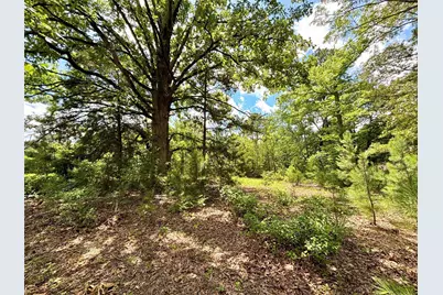 5982 Doe Trail, Gilmer, TX 75645 - Photo 25