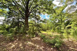 5982 Doe Trail, Gilmer, TX 75645 - Photo 25