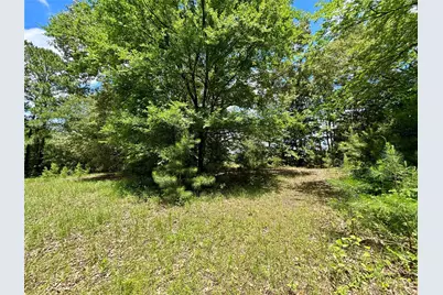 5982 Doe Trail, Gilmer, TX 75645 - Photo 33