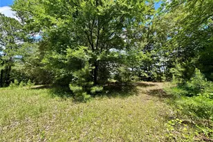 5982 Doe Trail, Gilmer, TX 75645 - Photo 33