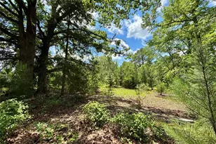 5982 Doe Trail, Gilmer, TX 75645 - Photo 27