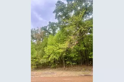 0 Alamo Road, Log Cabin, TX 75148 - Photo 1