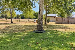 1451 Co Rd 107, Whitesboro, TX 76273 - Photo 5