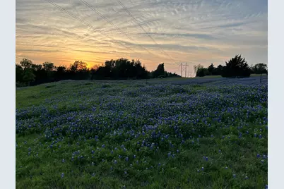 1425 Palmyra, Palmer, TX 75152 - Photo 9