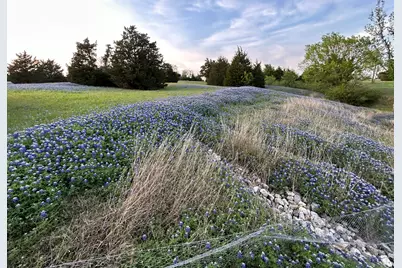 1425 Palmyra, Palmer, TX 75152 - Photo 7