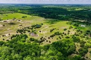 Tbd County Road 3365, Ladonia, TX 75449 - Photo 1