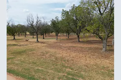 1313 Cirrus Loop, Granbury, TX 76049 - Photo 3