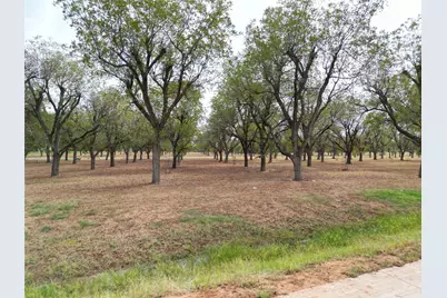 1313 Cirrus Loop, Granbury, TX 76049 - Photo 15