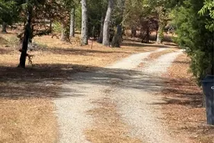 927 Indian Gap, Quitman, TX 75783 - Photo 35