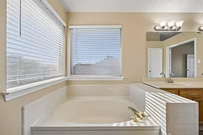 1203 White Drive, Cedar Hill, TX 75104 - Photo 11
